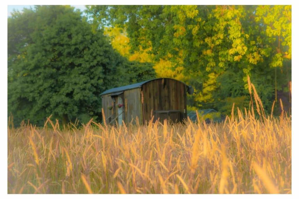 אשפורד Mountbatten Shepherds Hut & Buckhurst Shepherds Hut מראה חיצוני תמונה