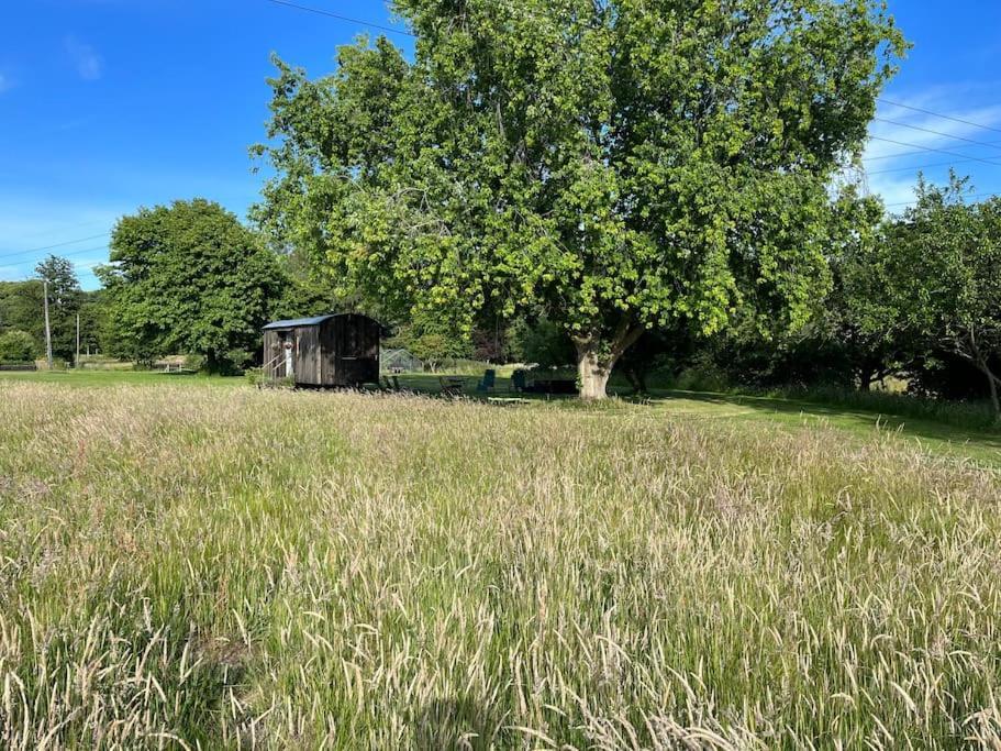 אשפורד Mountbatten Shepherds Hut & Buckhurst Shepherds Hut מראה חיצוני תמונה