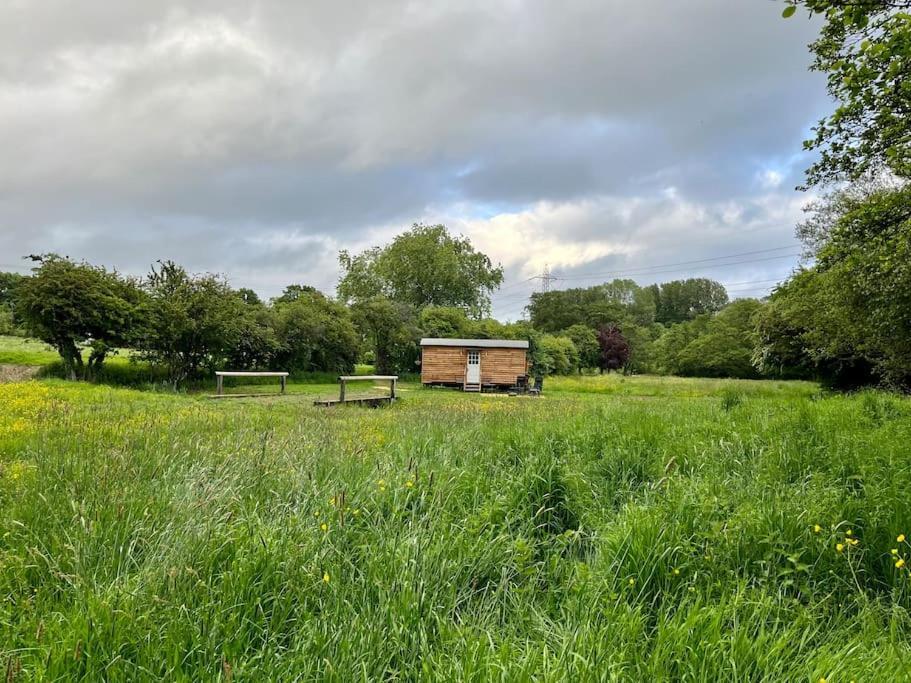 אשפורד Mountbatten Shepherds Hut & Buckhurst Shepherds Hut מראה חיצוני תמונה
