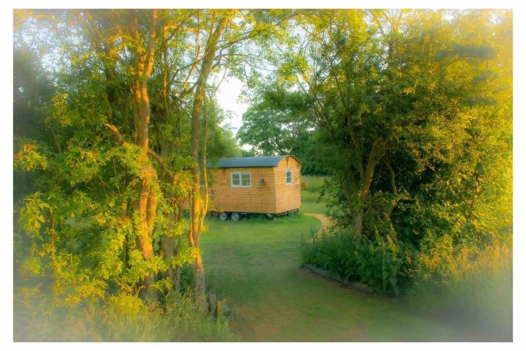 אשפורד Mountbatten Shepherds Hut & Buckhurst Shepherds Hut מראה חיצוני תמונה