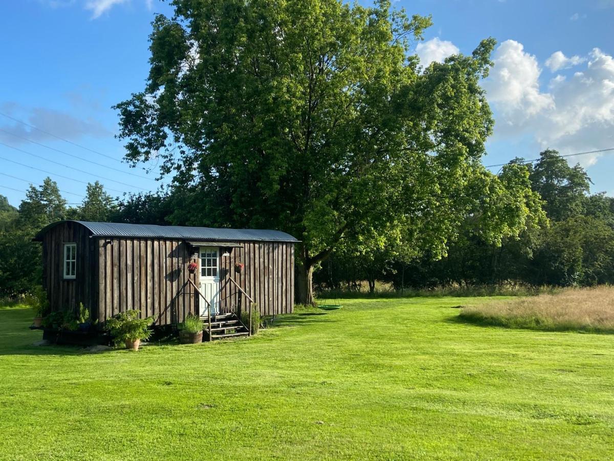 אשפורד Mountbatten Shepherds Hut & Buckhurst Shepherds Hut מראה חיצוני תמונה